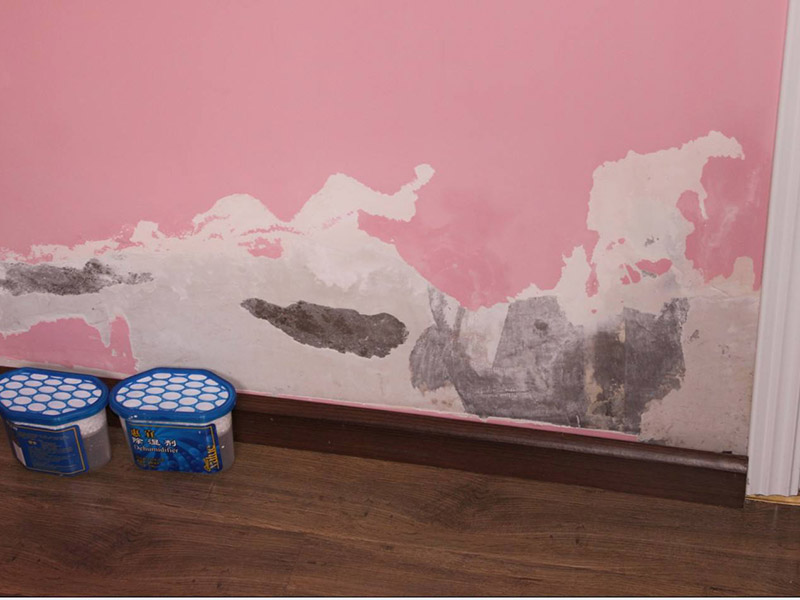 梅雨季節(jié)墻壁發(fā)霉怎么處理，為大家整理的小竅門來了